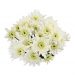 Crisantemina Radost Cream