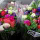anemoni mix