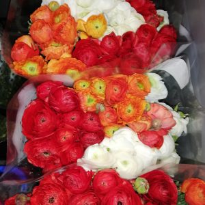ranuncoli mix