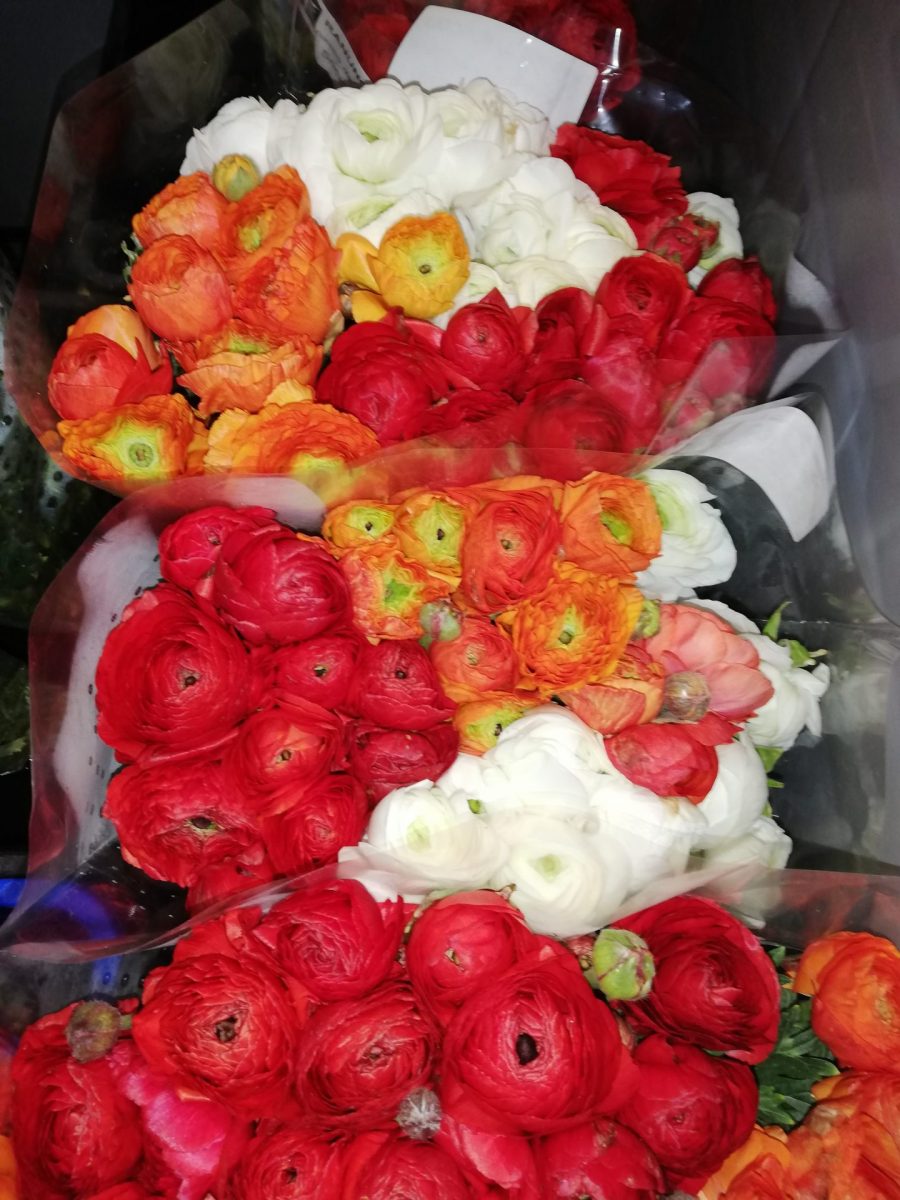 ranuncoli mix
